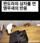 판도라의 상자 - 악플달면 쩌리쩌려버려 - ＊여성시대＊ 차분한 20대들의 알흠다운 공간 판도라의 상자