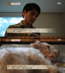 동물농장이 낳은 스타강아지 웅자, 그 후의 이야기 - 악플달면 쩌리쩌려버려 - ＊여성시대＊ 차분한 20대들의 알흠다운 공간 동물농장이 낳은... 