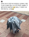 걸어다니는 까눌레 - 유쾌방 - 엽기 혹은 진실 (세상 모든 즐거움이 모이는 곳) 걸어다니는 까눌레