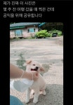 트위터 동물농장 - 악플달면 쩌리쩌려버려 - ＊여성시대＊ 차분한 20대들의 알흠다운 공간 트위터 동물농장