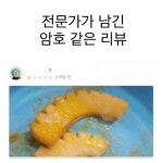 전문가가 남긴 암호 같은 리뷰.jpg - 악플달면 쩌리쩌려버려 - ＊여성시대＊ 차분한 20대들의 알흠다운 공간 전문가가 남긴 암호 같은 리뷰.jpg