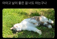 트위터 동물농장 - 악플달면 쩌리쩌려버려 - ＊여성시대＊ 차분한 20대들의 알흠다운 공간 트위터 동물농장