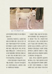 보배진돗개판매장 | 진돗개 무료분양 가능할까? - 유쾌방 - 엽기 혹은 진실 (세상 모든 즐거움이 모이는 곳) 진돗개 무료분양 가능할까?
