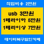 usb데이터복구 - usb데이터복구/sd카드/외장하드복구/저렴한가격으로 가능한곳 sd카드복구 포맷에러 블랙박스 영상파일 usb 윈도우 덮어쓰기... 