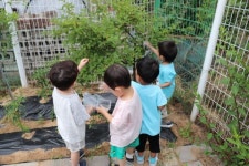 금동이 꼬마농부들이 하얀앵두를 땄어요👨🌾👩🌾 - 구경오세요~♥(｡◕ฺˇε ˇ◕ฺ｡)♥ - 금동이어린이집 금동이 꼬마농부들이 하얀앵두... 
