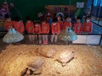 구경오세요~♥(｡◕ฺˇε ˇ◕ฺ｡)♥ - 금동이어린이집 신나는 히어로플레이 키즈 테마파크에서🏃‍♀️🏃‍♂️