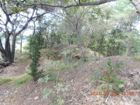 금산 녹두봉(370.8m)-운하산(336.5m)-두루봉(230.0m)-장구봉(194.1m)... 금산 녹두봉(370.8m)-운하산(336.5m)-두루봉(230.0m)-장구봉(194.1m)