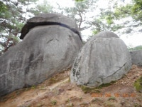 영주 이산 돗밤실 둘레길 트레킹 및 망월봉(237.0m)-약수봉(269.0m)-제비봉(279.0m)-송운동산(255.0m)외 3산 산행 - 산행후기 - 신암산악회... 