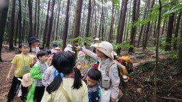 9월 셋째주 초등 2-1(깜이반) - ♤ 무등산숲학교 - (사)숲해설가광주전남협회 (사)숲해설가광주전남협회