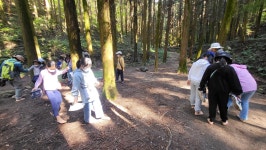 10월 세째주 초등3-3(버들반) - ♤ 무등산숲학교 - (사)숲해설가광주전남협회 (사)숲해설가광주전남협회