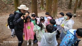 4월 첫째주 초등 1-1반(잎파랑이반) - ♤ 무등산숲학교 - (사)숲해설가광주전남협회 (사)숲해설가광주전남협회