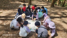 4월 셋째주 초등 3-3(봄반) - ♤ 무등산숲학교 - (사)숲해설가광주전남협회 (사)숲해설가광주전남협회