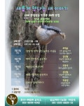 좋은 교육이 있어 소개합니다~~ - 일반 게시판 - (사)숲해설가광주전남협회 좋은 교육이 있어 소개합니다~~