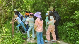 5월 첫째주 초등 1-2 (아기곰반) - ♤ 무등산숲학교 - (사)숲해설가광주전남협회 (사)숲해설가광주전남협회