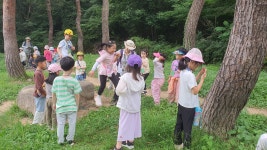 9월 첫째주 유치 1-1(초록반) - ♤ 무등산숲학교 - (사)숲해설가광주전남협회 (사)숲해설가광주전남협회