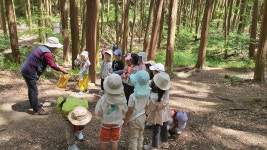 5월 셋째주 유치 3-1(안단테반) - ♤ 무등산숲학교 - (사)숲해설가광주전남협회 (사)숲해설가광주전남협회