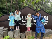 7월 셋째주 유치 3-2(봄반) - ♤ 무등산숲학교 - (사)숲해설가광주전남협회 (사)숲해설가광주전남협회