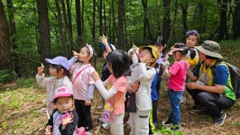 6월 첫째 주 유치 1-1 (사랑초반) - ♤ 무등산숲학교 - (사)숲해설가광주전남협회 (사)숲해설가광주전남협회