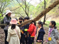4월 셋째주 초등 3-3 (바람솔반) - ♤ 무등산숲학교 - (사)숲해설가광주전남협회 (사)숲해설가광주전남협회