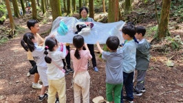 6월 셋째주 초등 3-3 (바람솔반) - ♤ 무등산숲학교 - (사)숲해설가광주전남협회 (사)숲해설가광주전남협회