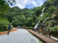 7월 숲기행, 시원한 덕산계곡의 여름 - ♤ 숲기행 - (사)숲해설가광주전남협회 7월 숲기행, 시원한 덕산계곡의 여름