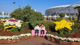 국화전시회 다녀왔어요🌸 - ✿행복한반✿ - YWCA근로자가족복지회관어린이집 🌼🌞 신나는 지역축제 탐방! 국화전시회 다녀왔어요🌸