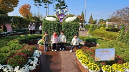 국화전시회 다녀왔어요🌸 - ✿행복한반✿ - YWCA근로자가족복지회관어린이집 🌼🌞 신나는 지역축제 탐방! 국화전시회 다녀왔어요🌸