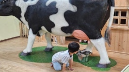 🐮진양호 어린이농촌테마체험관 나들이 다녀왔습니다 🐄 - ✿행복한반✿ - YWCA근로자가족복지회관어린이집 🐮진양호 어린이농촌테마체험관... 