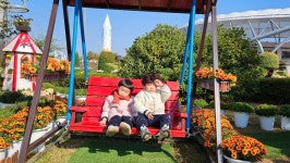 국화전시회 다녀왔어요🌸 - ✿행복한반✿ - YWCA근로자가족복지회관어린이집 🌼🌞 신나는 지역축제 탐방! 국화전시회 다녀왔어요🌸