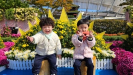 국화전시회 다녀왔어요🌸 - ✿행복한반✿ - YWCA근로자가족복지회관어린이집 🌼🌞 신나는 지역축제 탐방! 국화전시회 다녀왔어요🌸