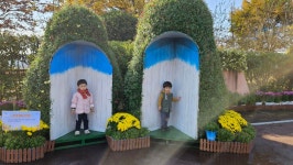 국화전시회 다녀왔어요🌸 - ✿행복한반✿ - YWCA근로자가족복지회관어린이집 🌼🌞 신나는 지역축제 탐방! 국화전시회 다녀왔어요🌸