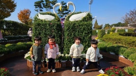 국화전시회 다녀왔어요🌸 - ✿행복한반✿ - YWCA근로자가족복지회관어린이집 🌼🌞 신나는 지역축제 탐방! 국화전시회 다녀왔어요🌸