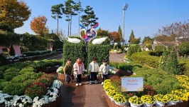 국화전시회 다녀왔어요🌸 - ✿행복한반✿ - YWCA근로자가족복지회관어린이집 🌼🌞 신나는 지역축제 탐방! 국화전시회 다녀왔어요🌸