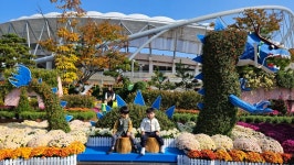 국화전시회 다녀왔어요🌸 - ✿행복한반✿ - YWCA근로자가족복지회관어린이집 🌼🌞 신나는 지역축제 탐방! 국화전시회 다녀왔어요🌸