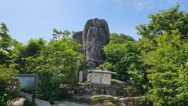 팔공산(2025.6.7) - 건강과 여행 - 대구교대 제11기 동기회 팔공산(2025.6.7)