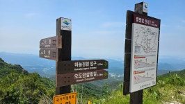 팔공산(2025.6.7) - 건강과 여행 - 대구교대 제11기 동기회 팔공산(2025.6.7)