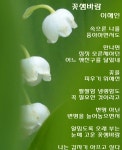 꽃샘바람속에 봄이 오는 길목 - ◈─……산책ノ갈바라기 - 예술의 집 꽃샘바람속에 봄이 오는 길목