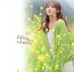 꽃과 나비 된 마음 - ◈─……산책ノ갈바라기 - 예술의 집 꽃과 나비 된 마음