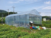 태양초 고추 말리기 - 살아가는 이야기 - 건국대학교 복지원예사 (원예치료사) 과정 태양초 고추 말리기