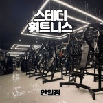 경기평택안중 스테디휘트니스 안중점/현화점/안일점/청북점 트레이너구인합니다 - ◐구인) 헬스/경기도지역 - 체육전문사이트 스포드림... 