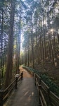 석갑산산책 - 진주철인의 자유게시판 - 진주철인클럽 석갑산산책