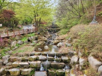 (현풍)비슬산-송해공원 - 산행길사진방 - 영현중학교 총 동문 카페 (현풍)비슬산-송해공원