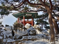 높고 높은 마음가짐 수미산을 넘었나니, 천마(天魔)와 외도들의 헤아림 미칠 수 없다.  - 회주스님말씀 - 백제불교회관 높고 높은 마음가짐... 