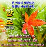 오늘은 한로 - 회원 앨범 - 한빛교회^^ 오늘은 한로