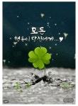 영상 - ☆………예쁜 영상모음 - 레시피 따라쟁이 영상