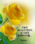 글 - ☆………예쁜 영상모음 - 레시피 따라쟁이 글