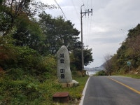 동백꽃이 이쁘게 피어난 보길도 - ───:★:산행♡사진방 - 성남 산울림 산악회 동백꽃이 이쁘게 피어난 보길도