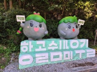 정선 항골 숨바우길 - ───:★:산행♡사진방 - 성남 산울림 산악회 정선 항골 숨바우길