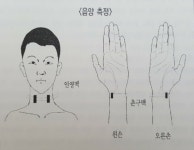 촌관척 촌구 인영 맥진 - ├……자석요법 자료 - 힐링 라이프 힐링 라이프