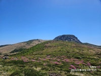 6/5(목) 제주 한라산 윗세오름 선작지왓 철쭉 산행 - │ 종주*명산 앨범실│ - 궁곡 *이세용 6/5(목) 제주 한라산 윗세오름 선작지왓 철쭉 산행